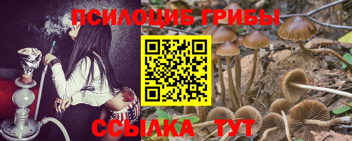 закладка  Галлюциногенные грибы Cubensis  Галлюциногенные грибы MAGIC MUSHROOMS  Вход с VPN  Ефремов 