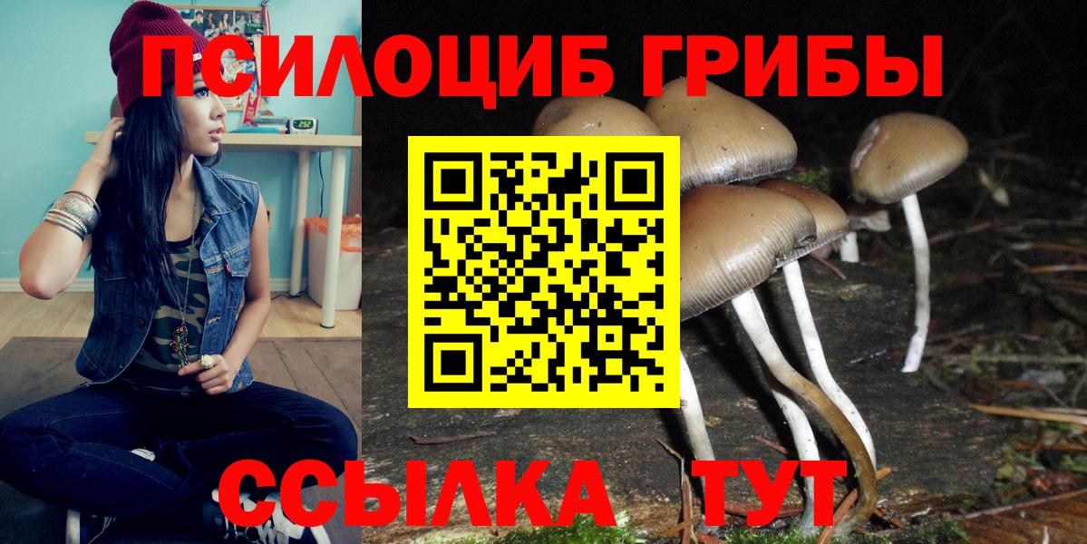 Псилоцибиновые грибы Cubensis Ефремов
